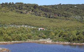 Secluded Holiday House Cove Jaz - Telascica, Dugi Otok - 8176